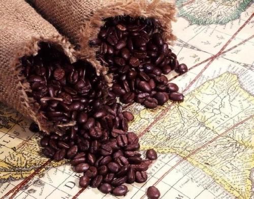 世界十大咖啡排名(世界上的十大最珍贵的咖啡)插图6