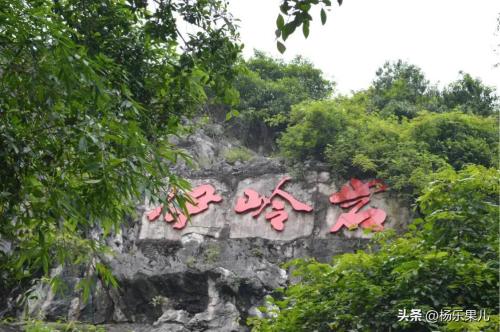 广西南宁旅游必去十大景点排名，南宁最好玩的十大景区(附2023年最新排行榜前十名单)