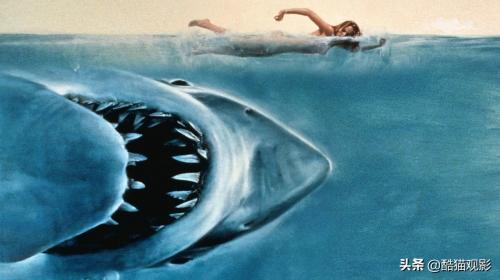 十大恐怖片鲨鱼，10部高分鲨鱼电影，场面很吓人(附2023年最新排行榜前十名单)