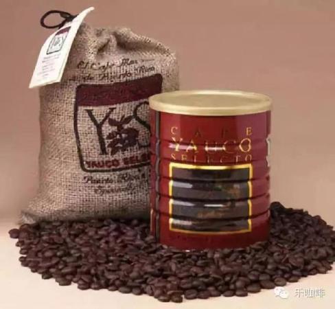 世界十大咖啡排名(世界上的十大最珍贵的咖啡)插图1