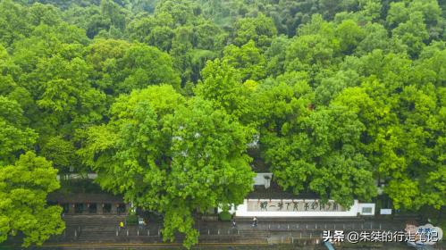 浙江富春江在哪里，位于钱塘江中游的富春江全长多少千米(附2023年最新排行榜前十名单)