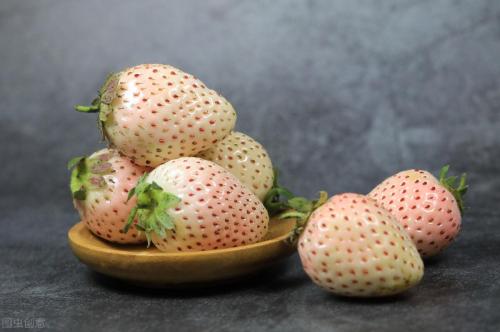 草莓品种哪个好吃(国内十大最受欢迎的草莓品种)插图4
