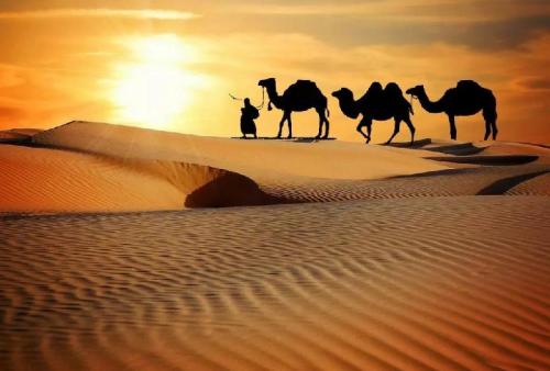 最大的沙漠是哪个沙漠(世界上最大的沙漠是撒哈拉沙漠)插图2