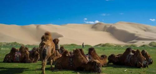 最大的沙漠是哪个沙漠，世界上最大的沙漠是撒哈拉沙漠(附2023年最新排行榜前十名单)