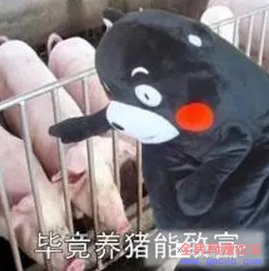 2019最新蓝海赚钱项目,0成本日赚600块! 2019最新蓝海赚钱项目,0成本日赚600块!