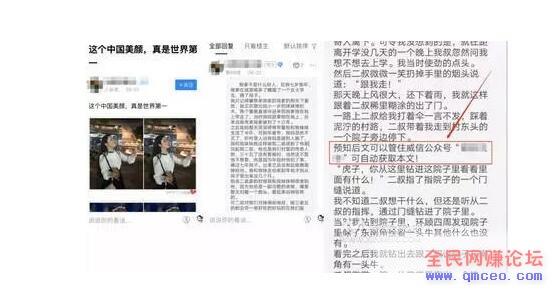 小说项目放大操作,可月入150000+ 小说项目放大操作,可月入150000+