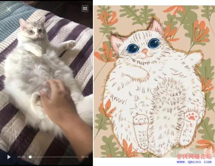 短视频云养猫,在家就能轻松赚钱【思路可拓展】 短视频云养猫,在家就能轻松赚钱【思路可拓展】