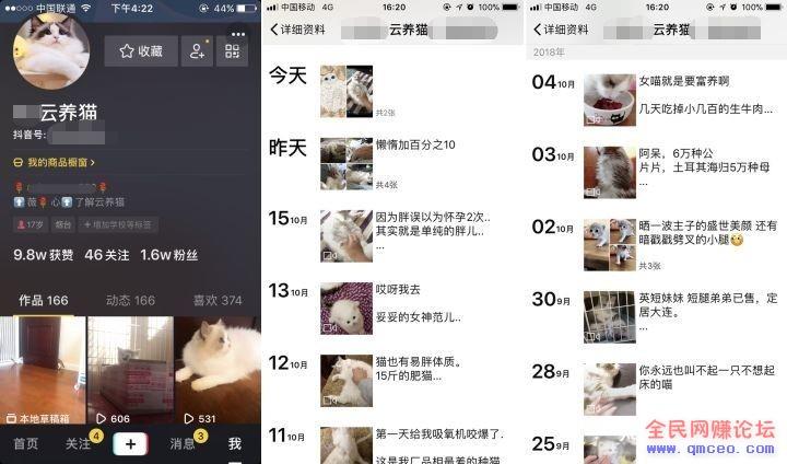 短视频云养猫,在家就能轻松赚钱【思路可拓展】 短视频云养猫,在家就能轻松赚钱【思路可拓展】