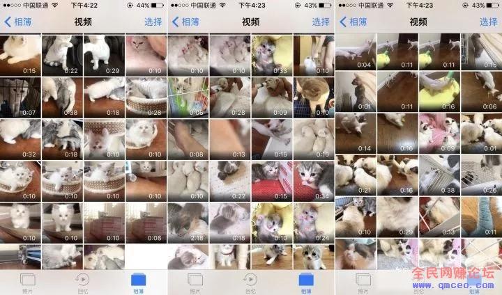 短视频云养猫,在家就能轻松赚钱【思路可拓展】 短视频云养猫,在家就能轻松赚钱【思路可拓展】