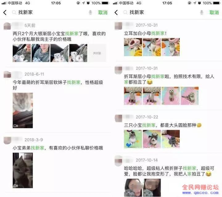 短视频云养猫,在家就能轻松赚钱【思路可拓展】 短视频云养猫,在家就能轻松赚钱【思路可拓展】