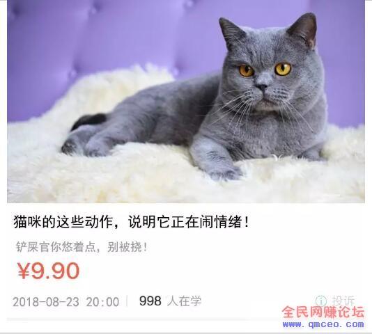 简单易操的项目让你稳赚,做好了日赚1000+ 简单易操的项目让你稳赚,做好了日赚1000+