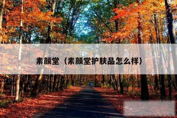 素颜堂(素颜堂护肤品怎么样)