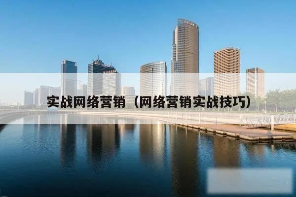 实战网络营销(网络营销实战技巧)