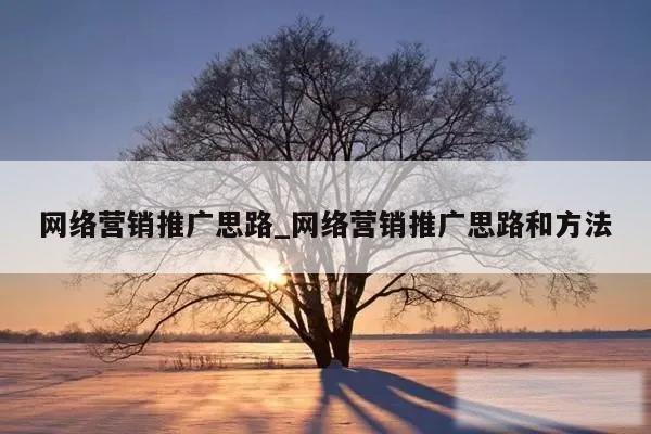 网络营销推广思路_网络营销推广思路和方法