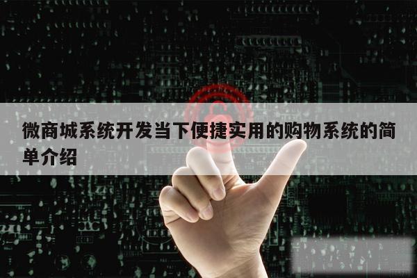 微商城系统开发当下便捷实用的购物系统的简单介绍