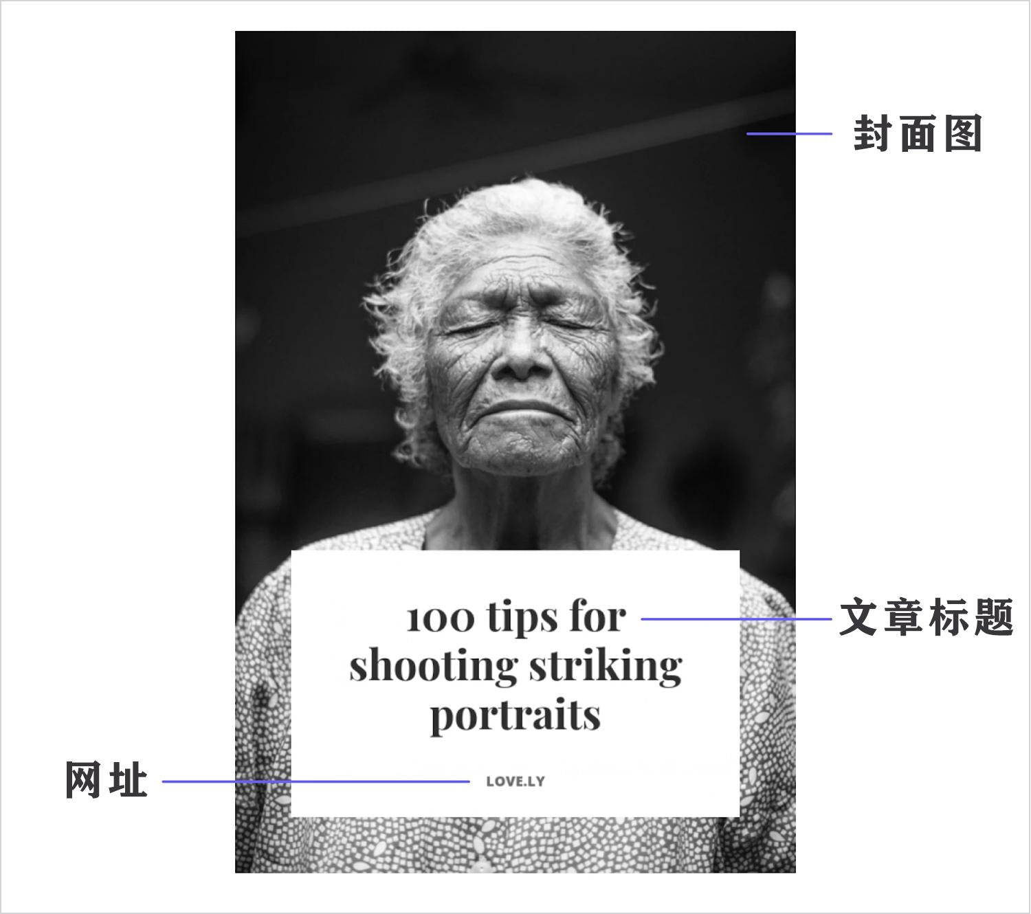 placid生成pinterest图片
