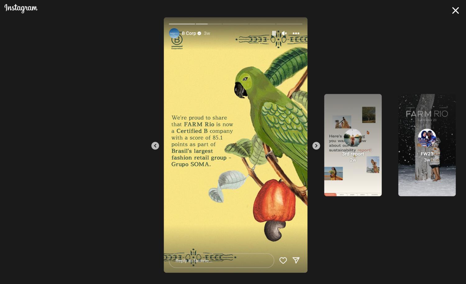 Farm Rio的Instagram快拍的桌面视图